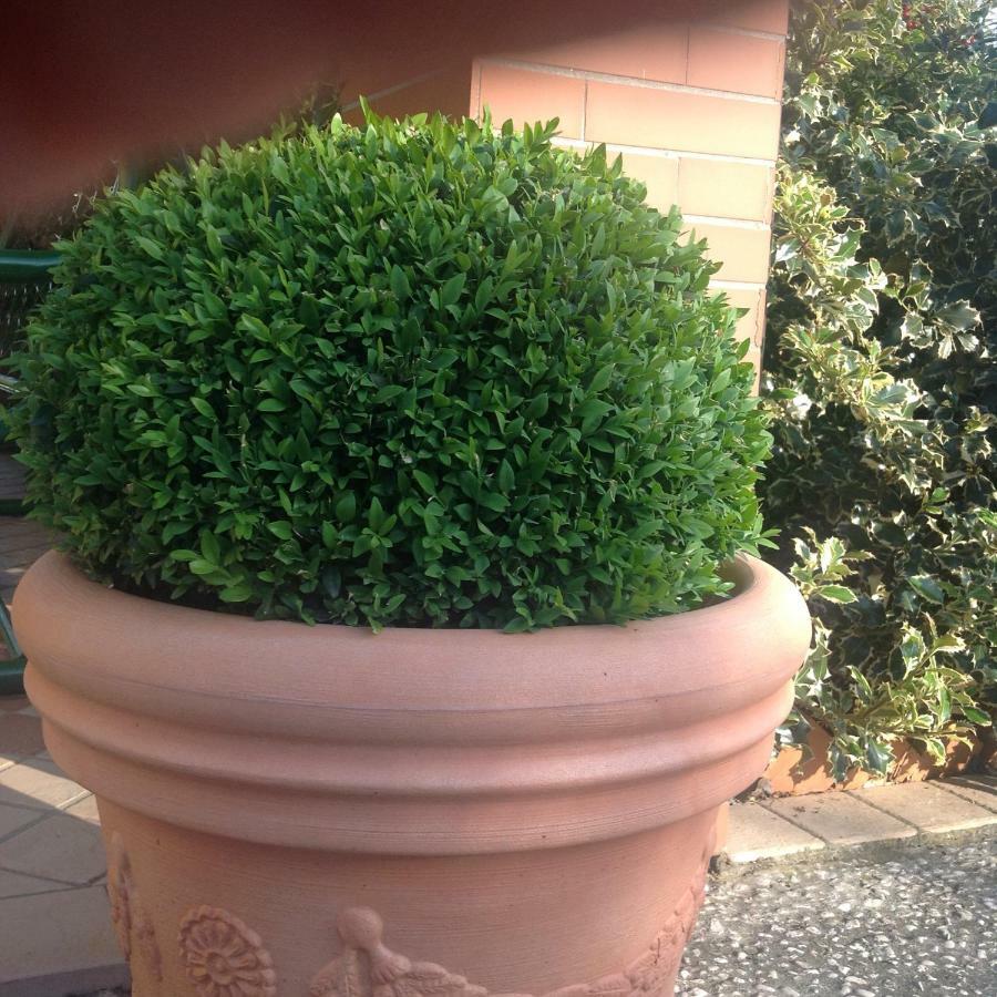 Apartamento Casale el galet Moniga del Garda Exterior foto